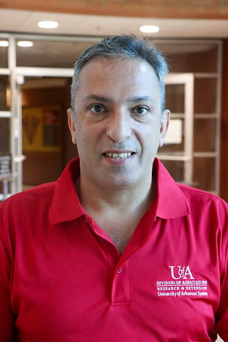 Adnan Alrubaye, poultry science assistant professor, was awarded approximately $80,000 by the USPOULTRY Foundation to start developing a bacterial vaccine for broilers.