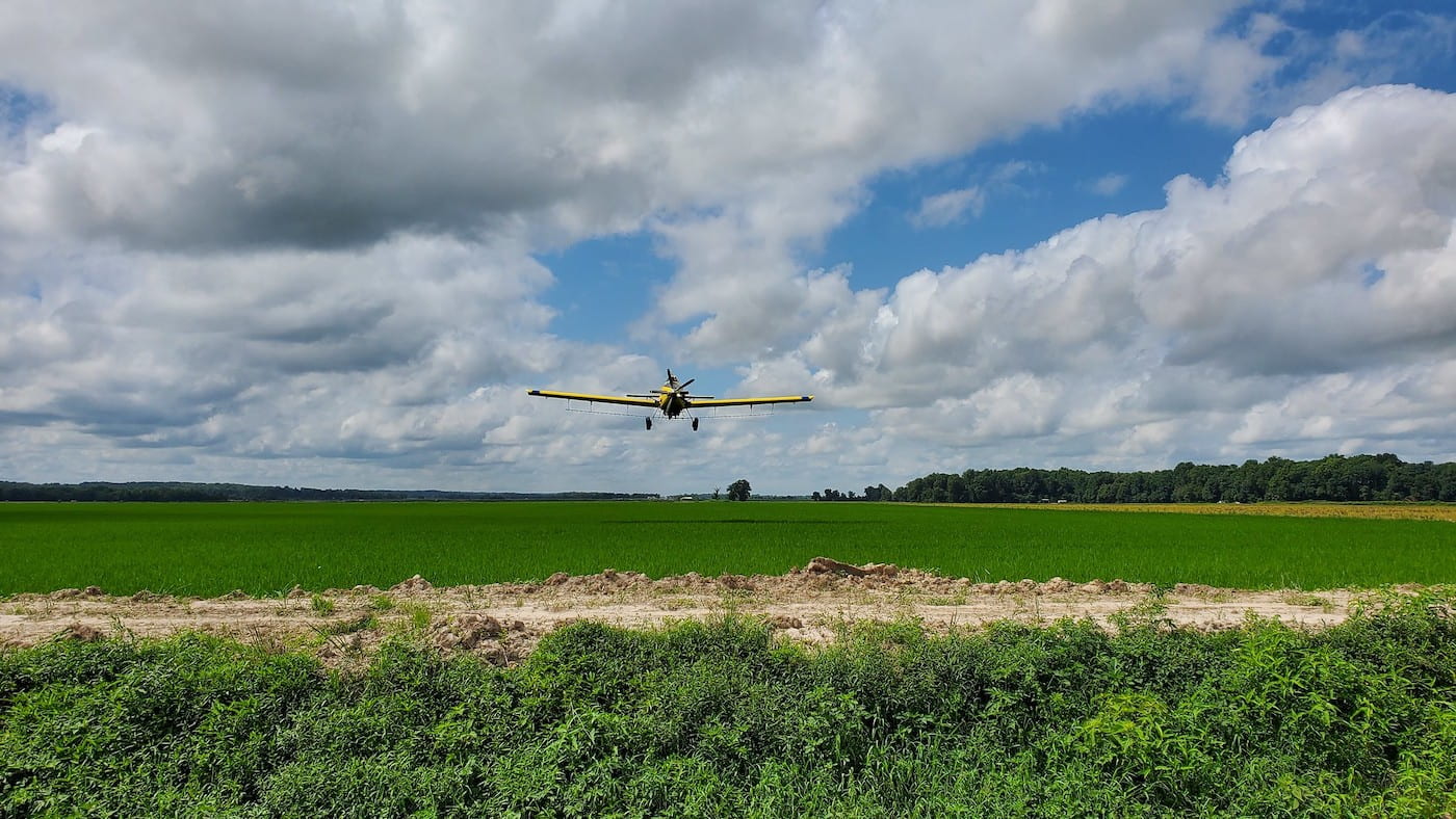DRIFT STUDY — A University of Arkansas System Division of Agriculture study validated U.S. Environmental Protection Agency herbicide drift prediction models. (U of A System Division of Ag photo)