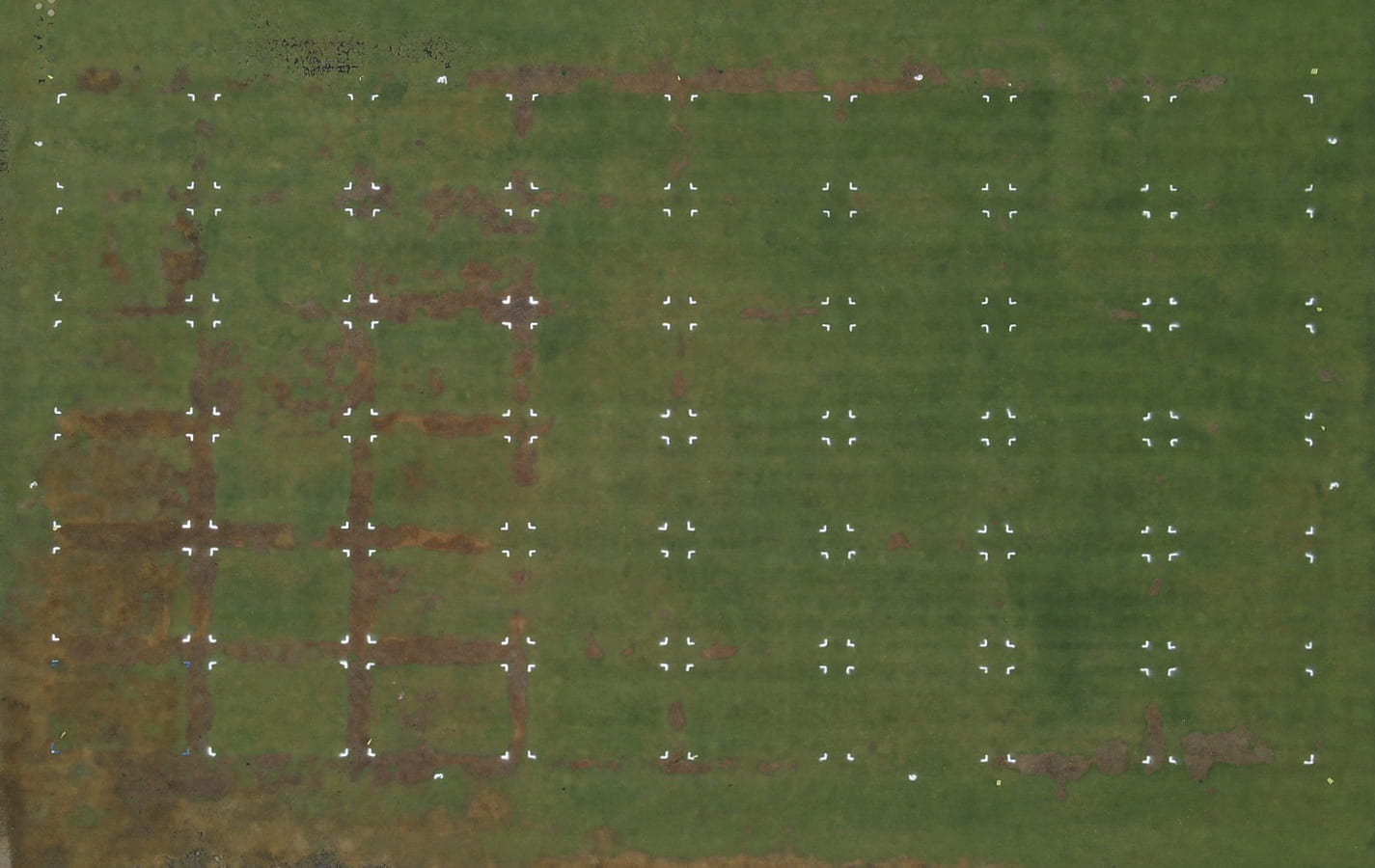 Aerial photo of turfgrass research trials marked with little white corner markers