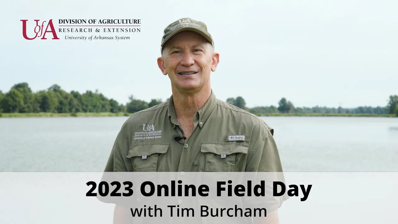 Watch the 2023 NERREC Rice Field Day