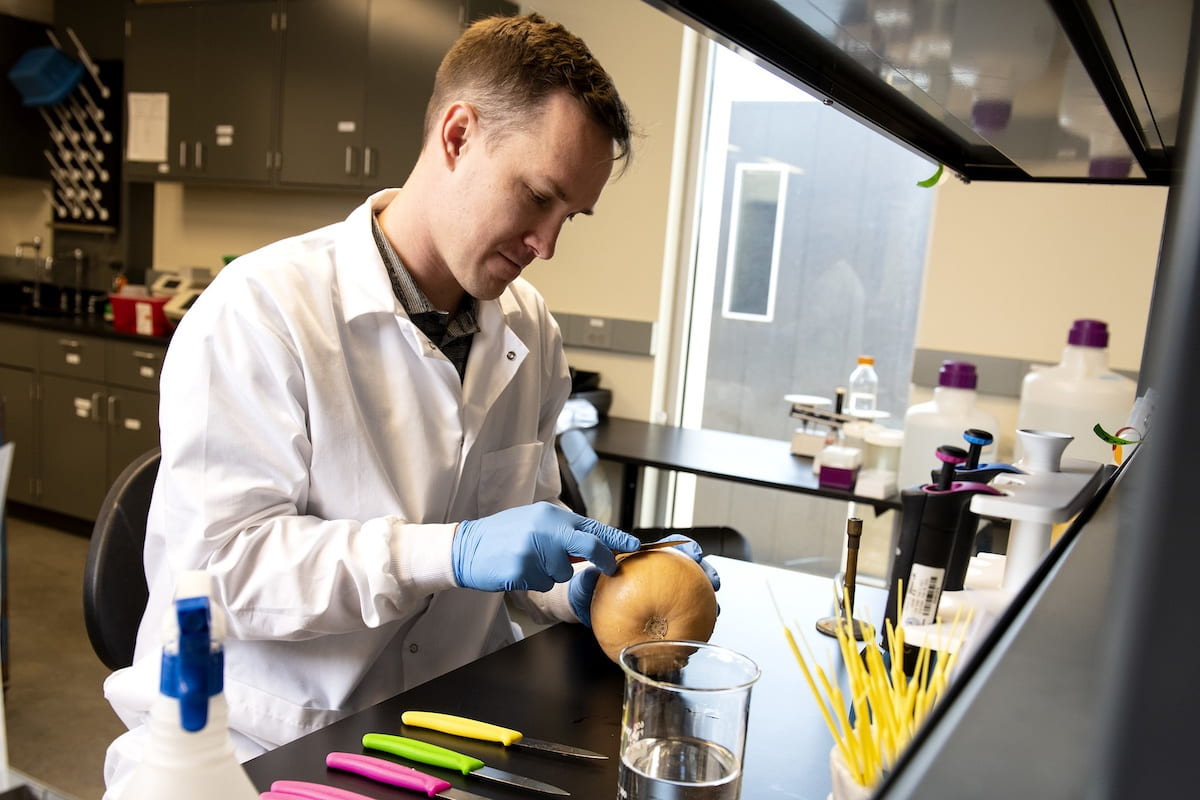 Adam Baker researches ozonated water in food processing during an Arkansas Agricultural Experiment Station study
