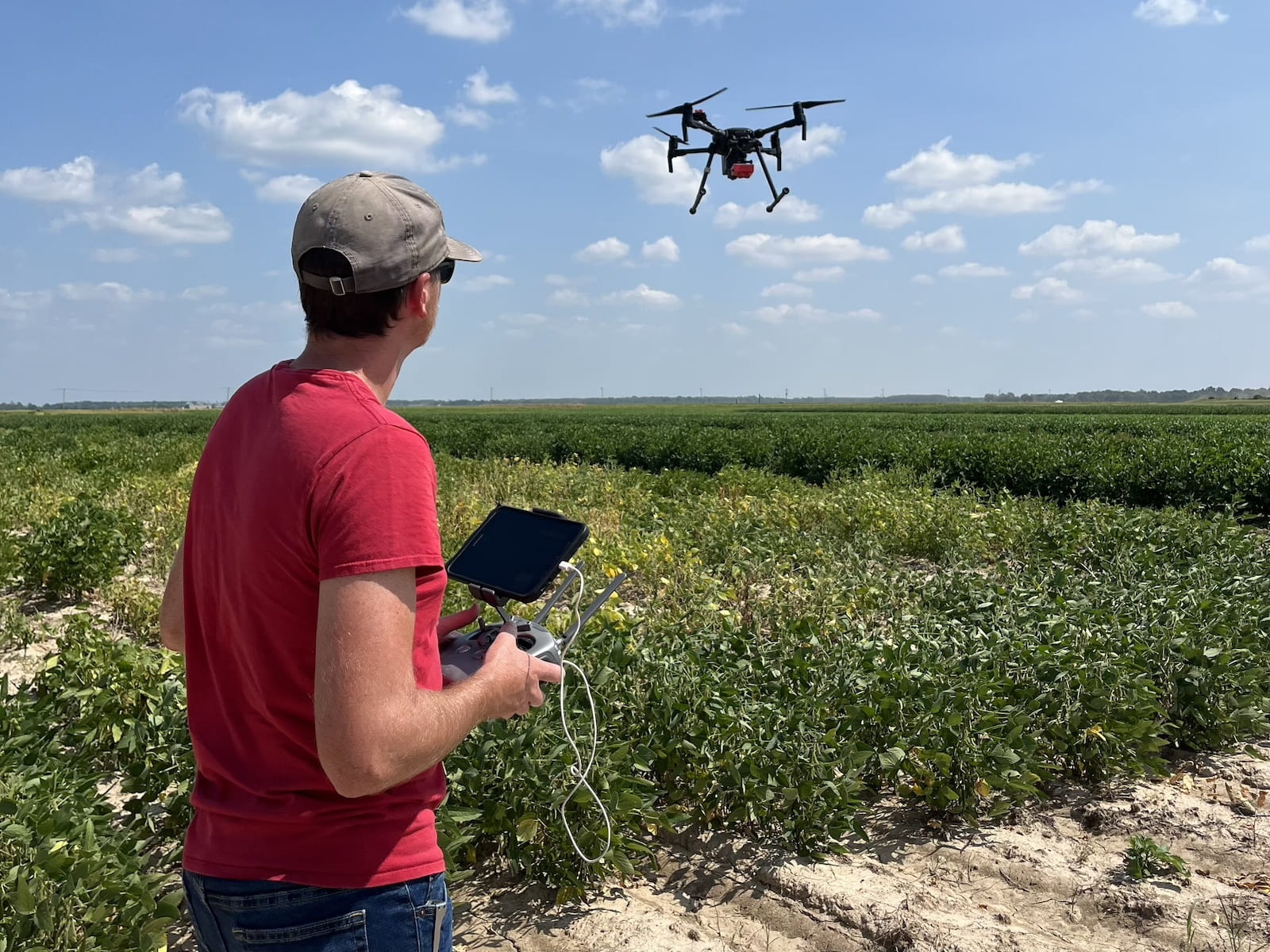Drone flying on soybean field