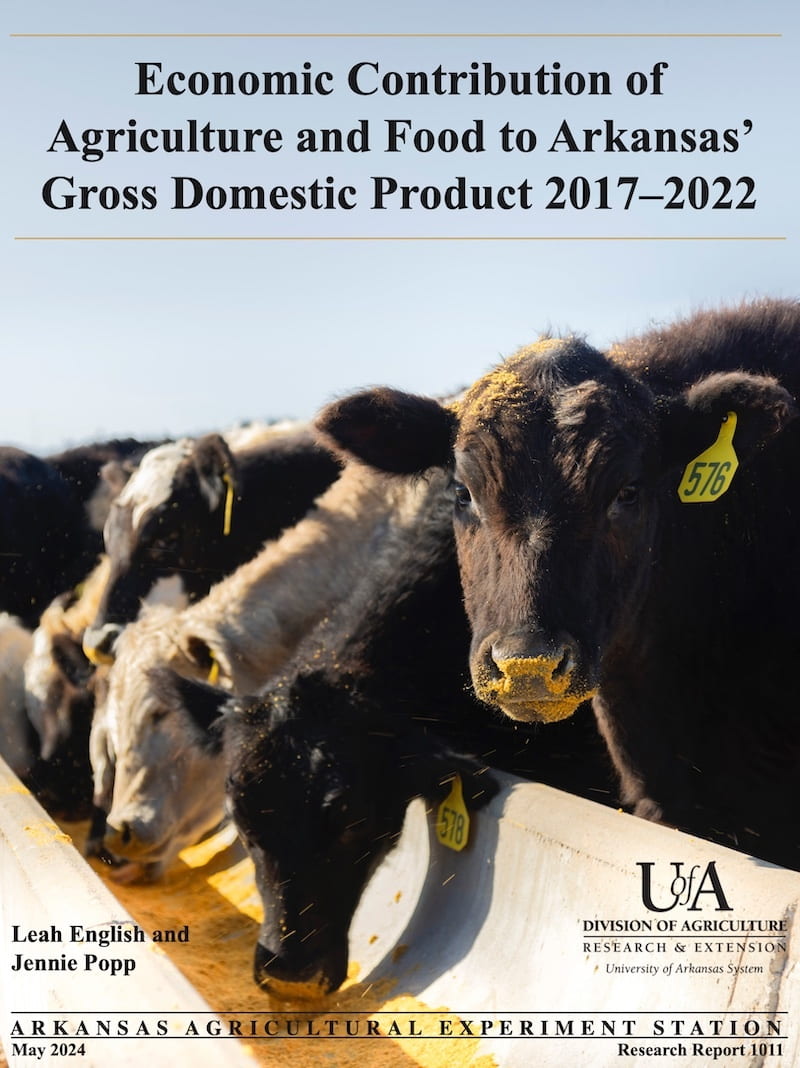 Cover of a research report with a close-up of cows feeding from a trough, one prominently displaying a yellow tag number 576, with details on the report's focus on Arkansas' agricultural economic contribution from 2017 to 2022.